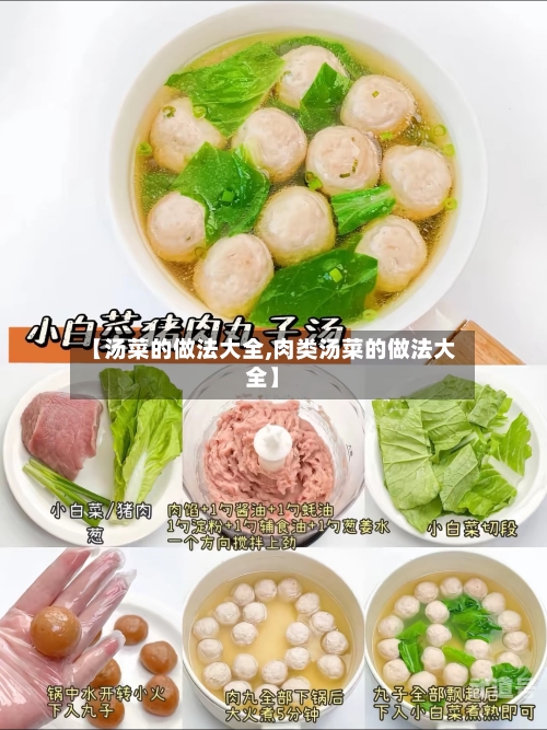 【汤菜的做法大全,肉类汤菜的做法大全】