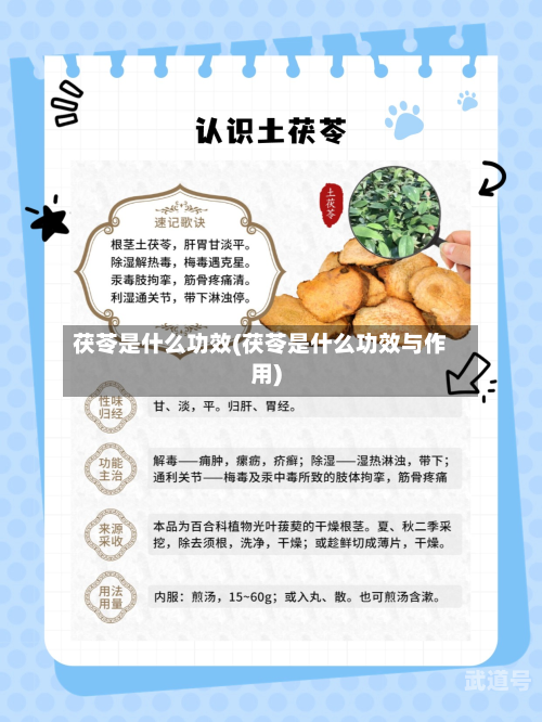 茯苓是什么功效(茯苓是什么功效与作用)