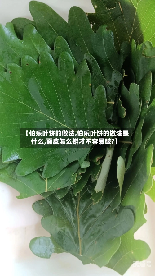 【伯乐叶饼的做法,伯乐叶饼的做法是什么,面皮怎么擀才不容易破?】