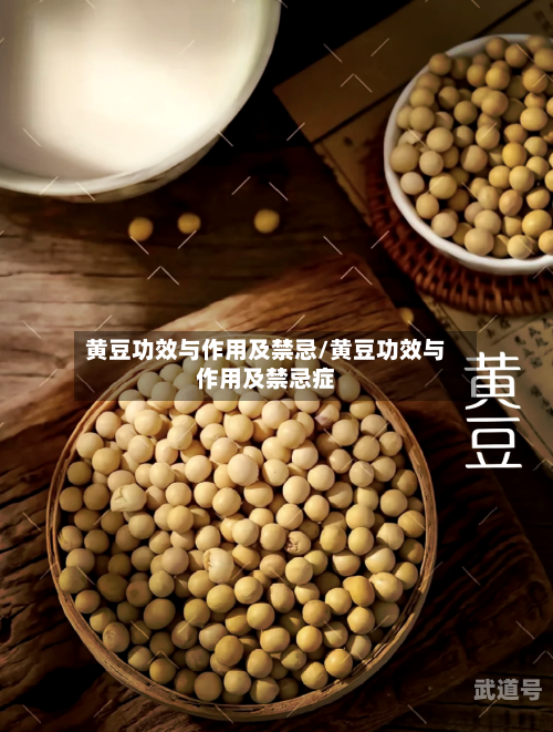黄豆功效与作用及禁忌/黄豆功效与作用及禁忌症-第3张图片