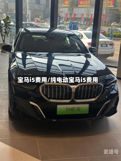 宝马i5费用/纯电动宝马i5费用-第3张图片