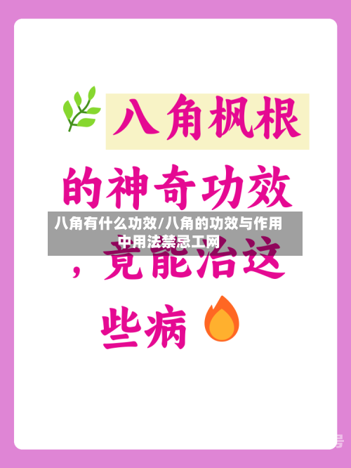 八角有什么功效/八角的功效与作用中用法禁忌工网