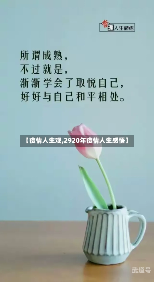 【疫情人生观,2920年疫情人生感悟】