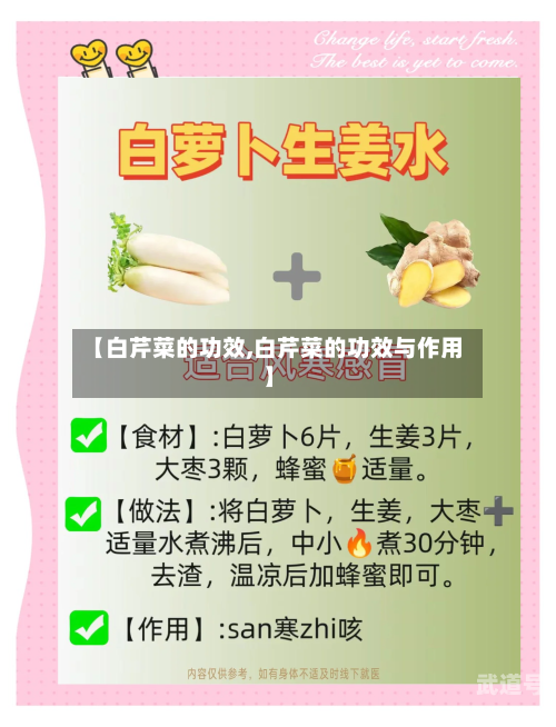 【白芹菜的功效,白芹菜的功效与作用】
