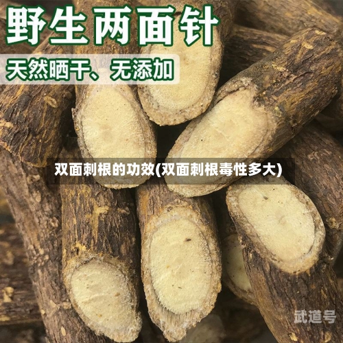 双面刺根的功效(双面刺根毒性多大)-第3张图片
