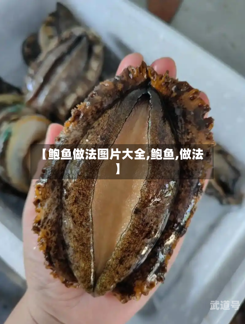 【鲍鱼做法图片大全,鲍鱼,做法】