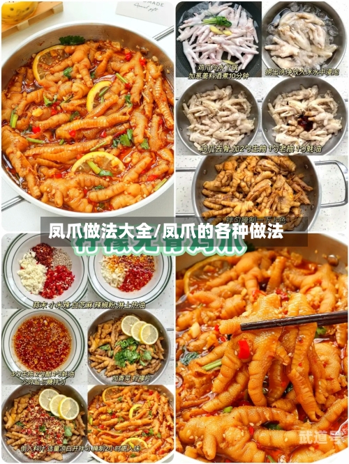 凤爪做法大全/凤爪的各种做法