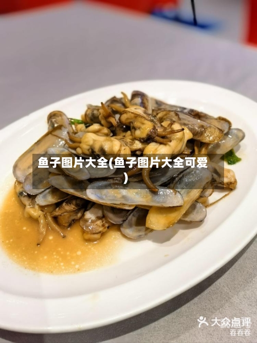 鱼子图片大全(鱼子图片大全可爱)