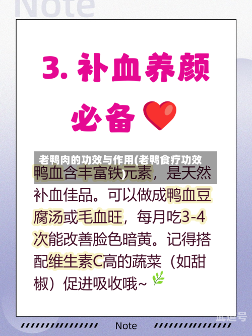 老鸭肉的功效与作用(老鸭食疗功效)