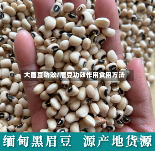 大眉豆功效/眉豆功效作用食用方法