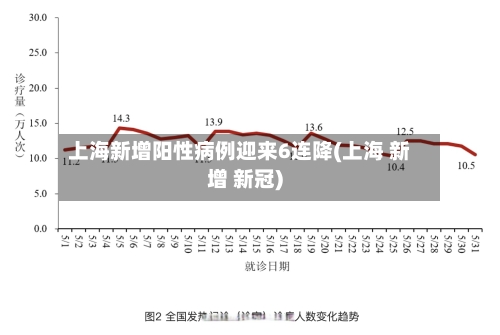 上海新增阳性病例迎来6连降(上海 新增 新冠)
