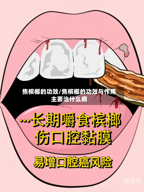 焦槟榔的功效/焦槟榔的功效与作用主要治什么病-第3张图片