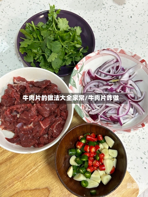 牛肉片的做法大全家常/牛肉片咋做