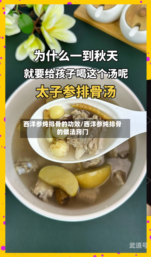 西洋参炖排骨的功效/西洋参炖排骨的做法窍门