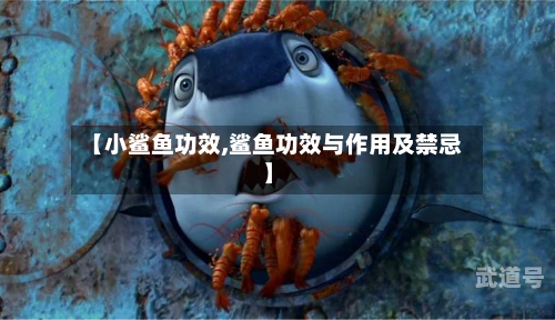 【小鲨鱼功效,鲨鱼功效与作用及禁忌】