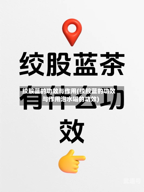 绞股蓝的功效与作用(绞股蓝的功效与作用泡水喝的功效)