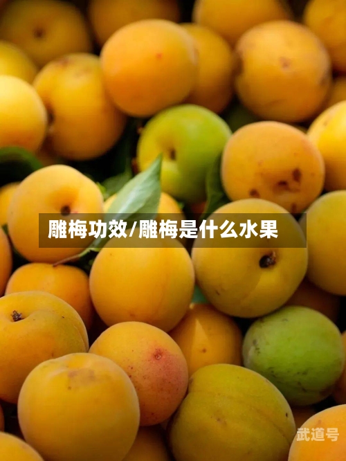 雕梅功效/雕梅是什么水果