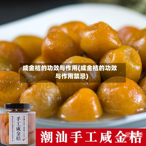 咸金桔的功效与作用(咸金桔的功效与作用禁忌)