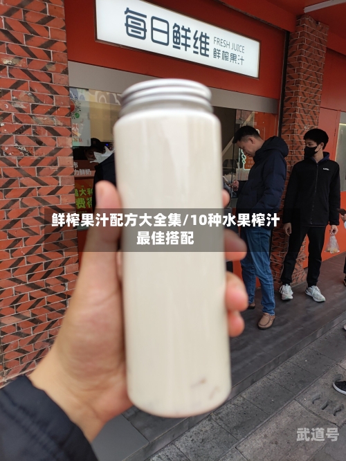 鲜榨果汁配方大全集/10种水果榨汁最佳搭配