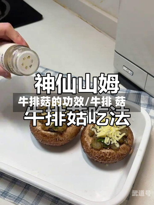 牛排菇的功效/牛排 菇-第3张图片