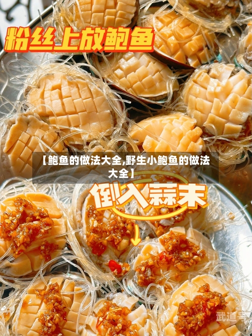 【鲍鱼的做法大全,野生小鲍鱼的做法大全】