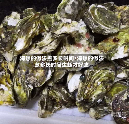 海螺的做法煮多长时间/海螺的做法煮多长时间生蚝才好吃