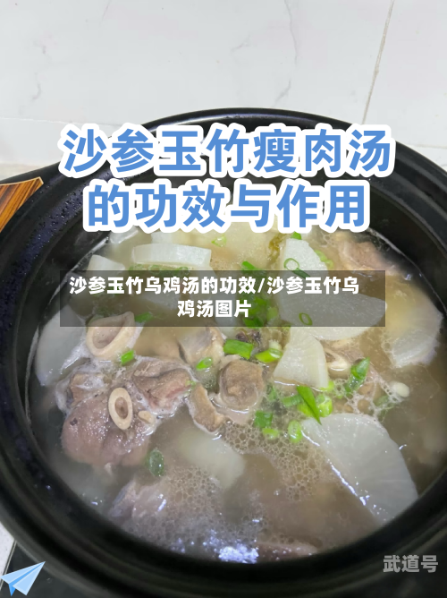 沙参玉竹乌鸡汤的功效/沙参玉竹乌鸡汤图片