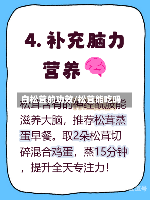 白松茸的功效/松茸能吃吗