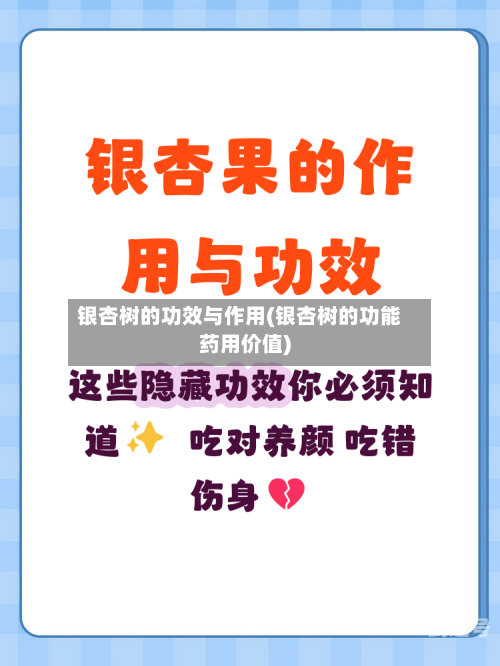 银杏树的功效与作用(银杏树的功能药用价值)