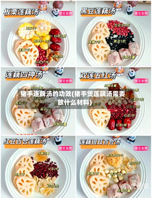 猪手连藕汤的功效(猪手煲莲藕汤需要放什么材料)