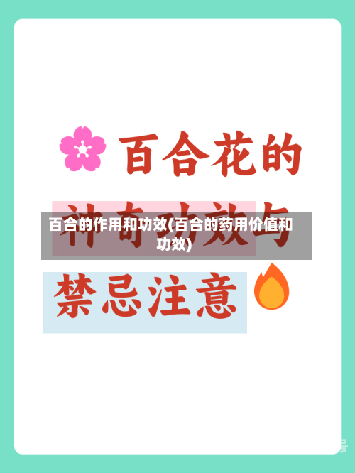 百合的作用和功效(百合的药用价值和功效)