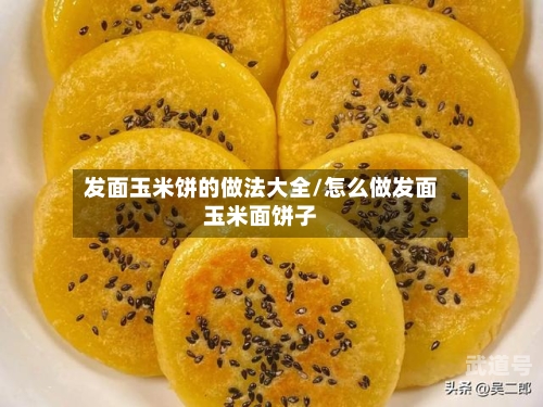 发面玉米饼的做法大全/怎么做发面玉米面饼子
