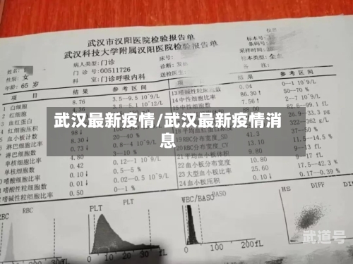 武汉最新疫情/武汉最新疫情消息