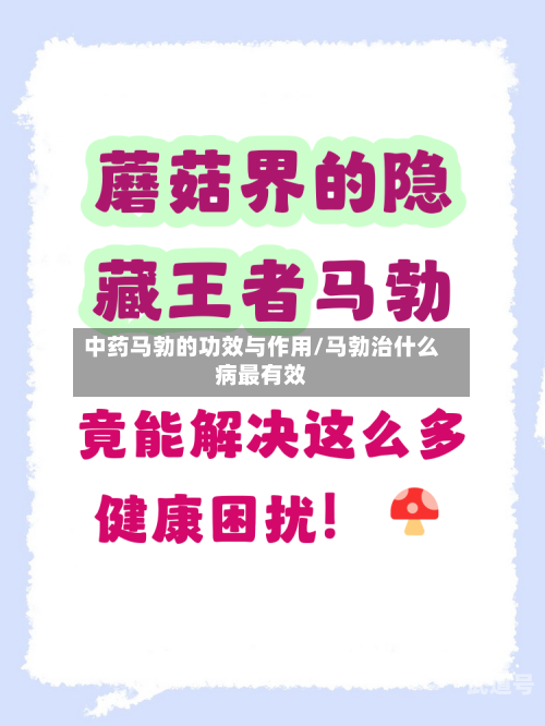 中药马勃的功效与作用/马勃治什么病最有效-第3张图片