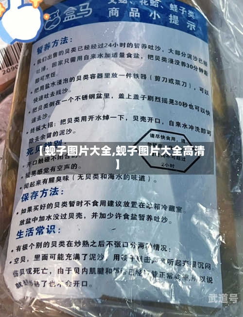 【蚬子图片大全,蚬子图片大全高清】