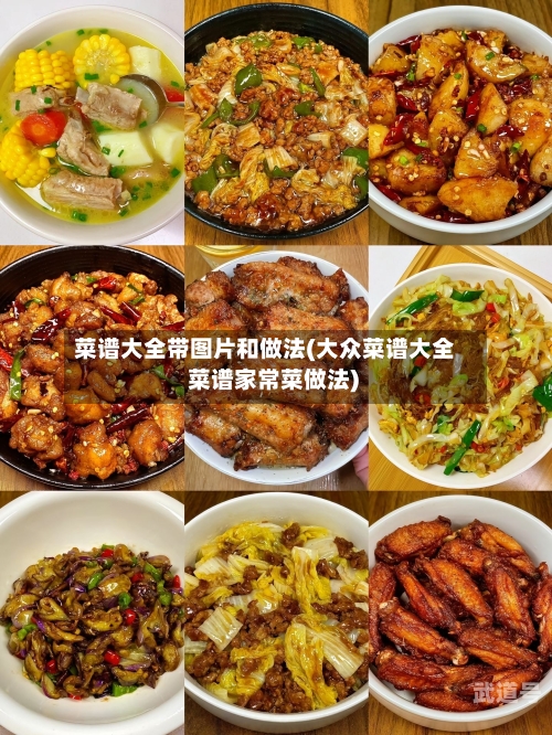 菜谱大全带图片和做法(大众菜谱大全 菜谱家常菜做法)