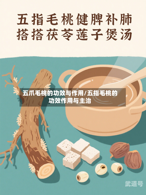 五爪毛桃的功效与作用/五指毛桃的功效作用与主治