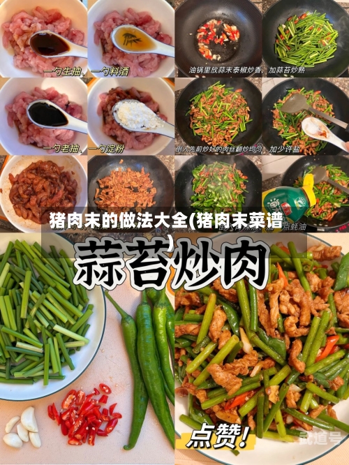 猪肉末的做法大全(猪肉末菜谱)