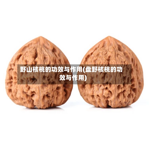 野山核桃的功效与作用(盘野核桃的功效与作用)