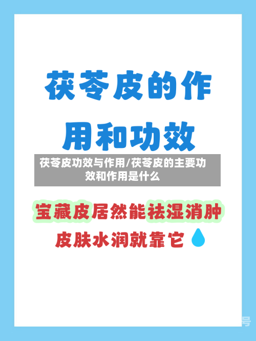 茯苓皮功效与作用/茯苓皮的主要功效和作用是什么