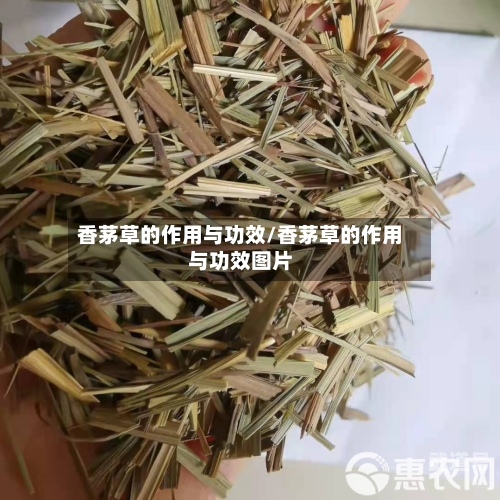 香茅草的作用与功效/香茅草的作用与功效图片