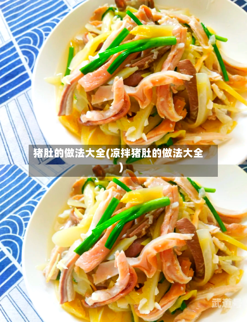 猪肚的做法大全(凉拌猪肚的做法大全)