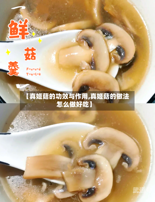 【真姬菇的功效与作用,真姬菇的做法怎么做好吃】