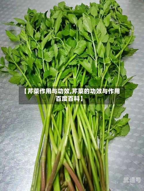 【芹菜作用与功效,芹菜的功效与作用百度百科】