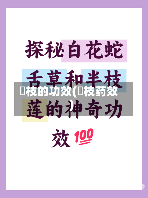 劦枝的功效(岺枝药效)