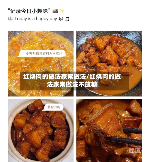 红烧肉的做法家常做法/红烧肉的做法家常做法不放糖