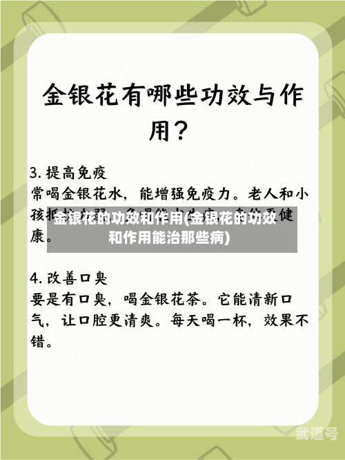 金银花的功效和作用(金银花的功效和作用能治那些病)