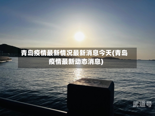 青岛疫情最新情况最新消息今天(青岛疫情最新动态消息)