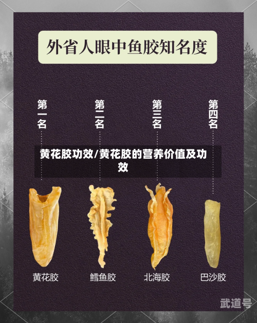 黄花胶功效/黄花胶的营养价值及功效