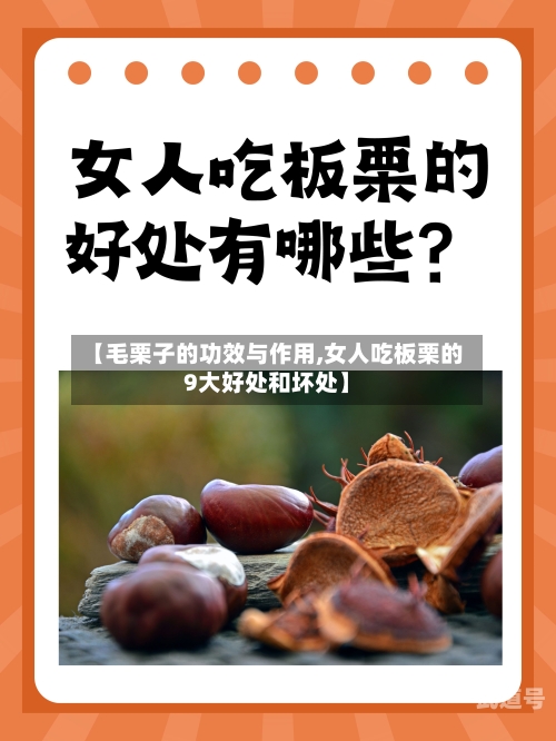 【毛栗子的功效与作用,女人吃板栗的9大好处和坏处】